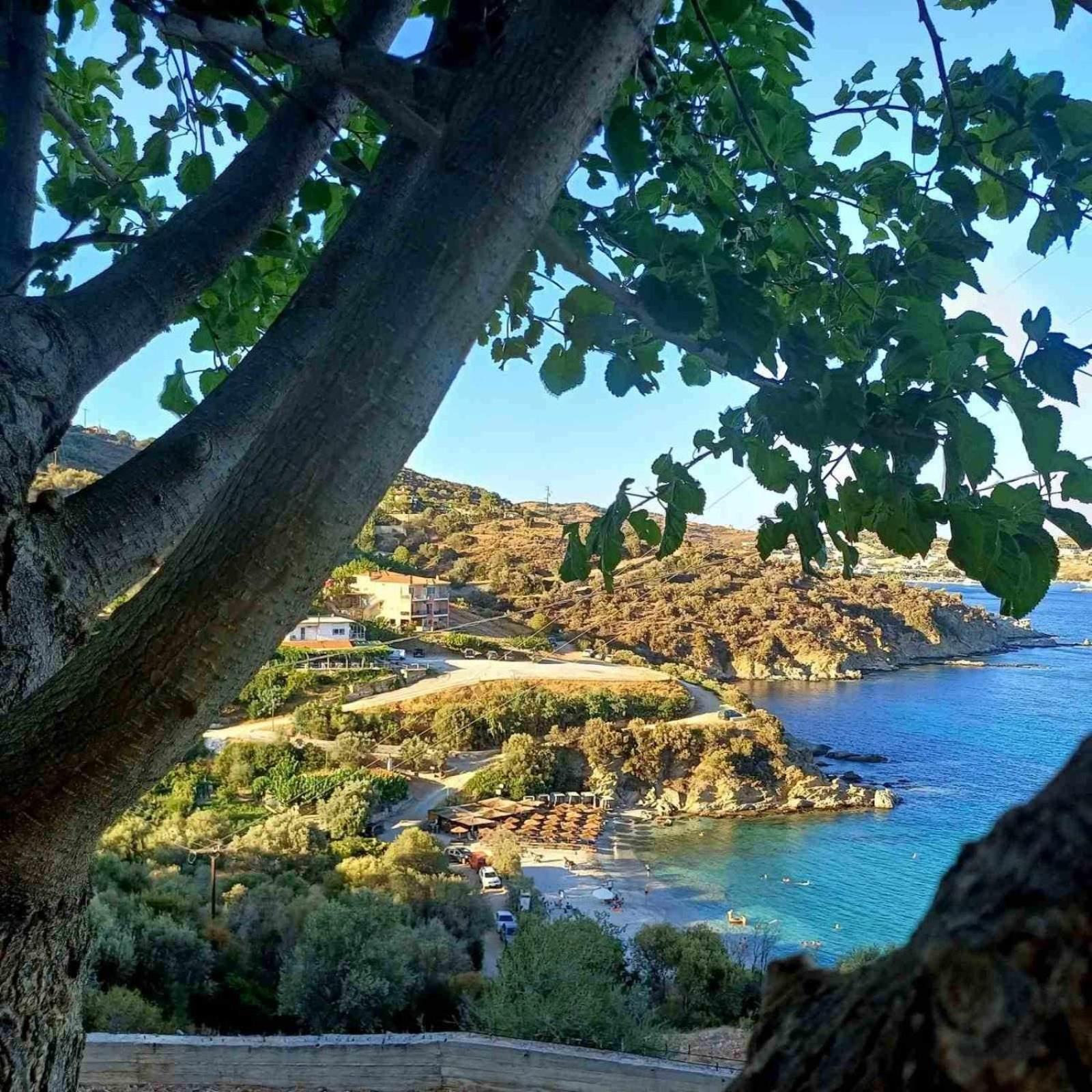 Aegean Beachfront Petriaí Eksteriør billede